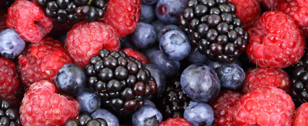 Python高級(jí)技巧：優(yōu)雅地過濾列表中的指定元素